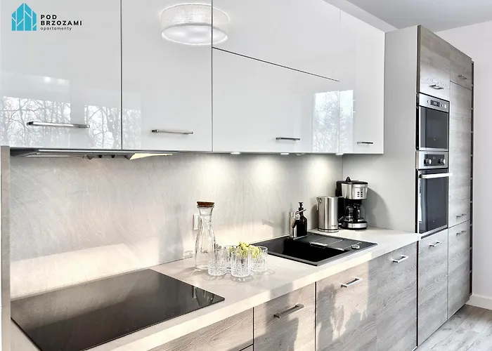 Pod Brzozami Polanki Apartament *