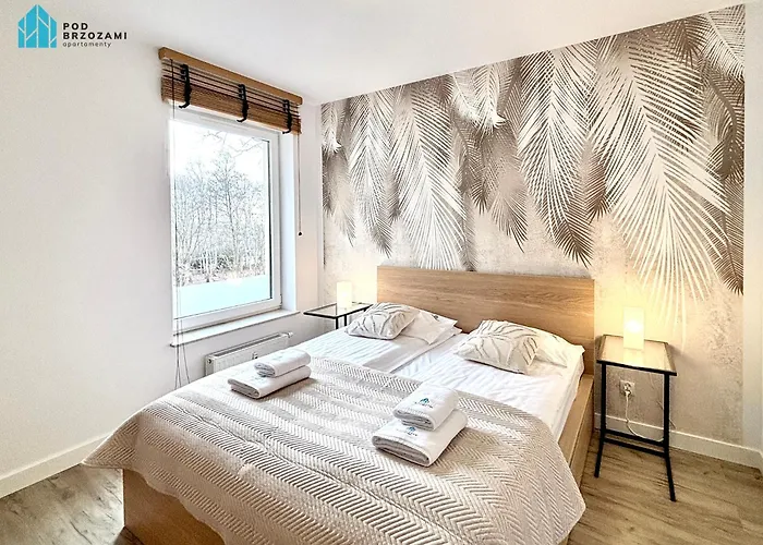 Pod Brzozami Polanki Apartament