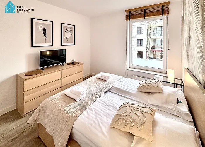 Apartament Pod Brzozami Polanki