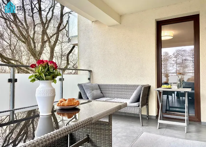 Pod Brzozami Polanki Apartament *