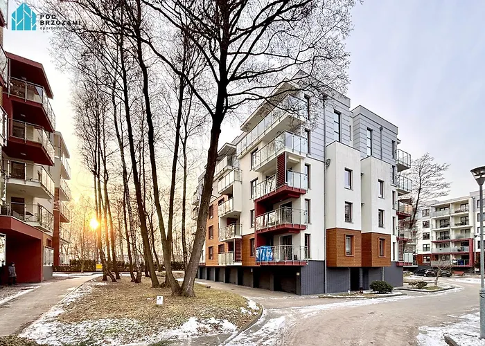 Pod Brzozami Polanki *